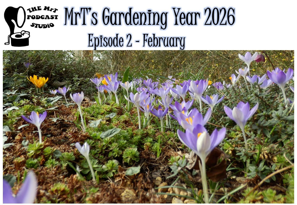 MRTGY 2026 02 February