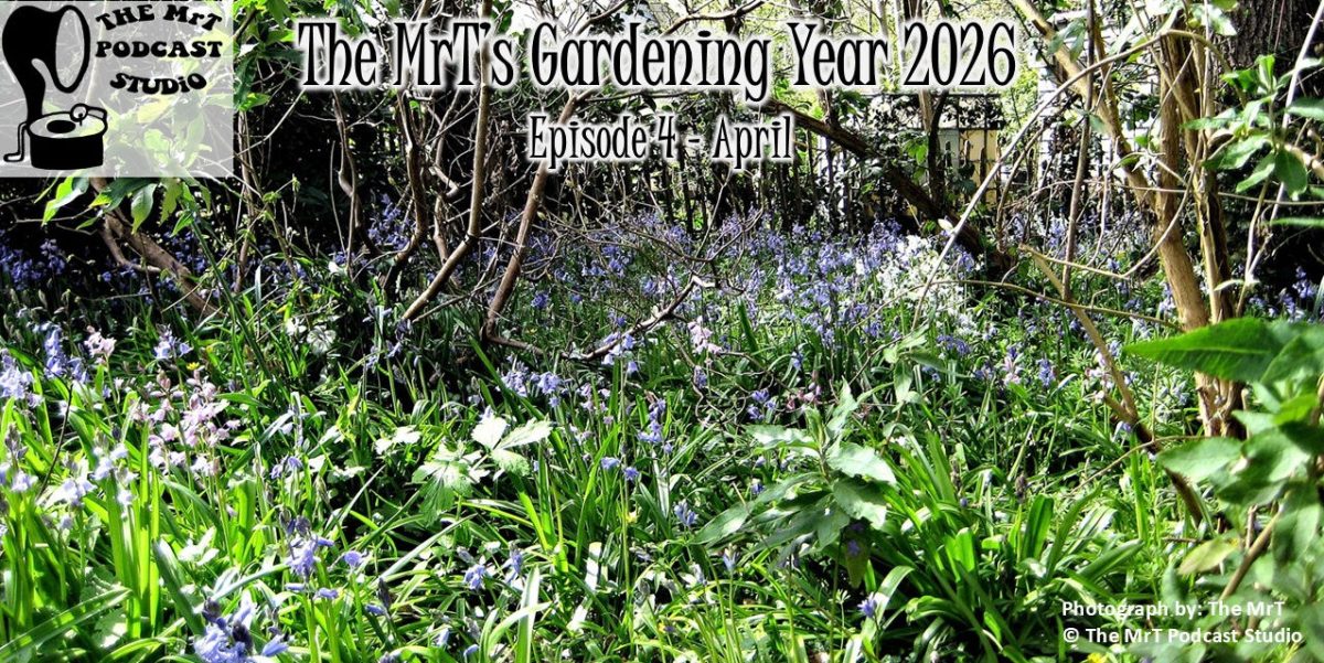 MRTGY 2026 04 April